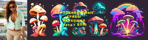 хмурый Ладушкин