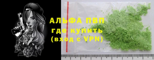 хмурый Ладушкин