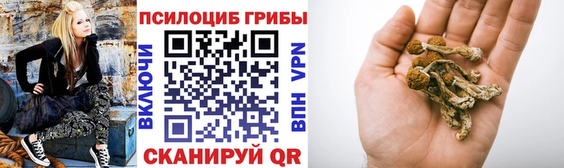 Купить закладки  Заполярный  Псилоцибиновые грибы мухоморы 